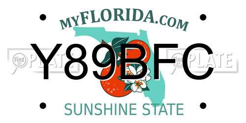 Y89BFC Florida License Plate