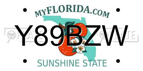 Y89BZW Florida License Plate