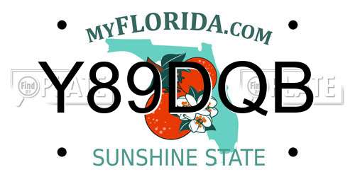 Y89DQB Florida License Plate