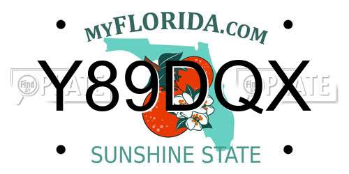Y89DQX Florida License Plate