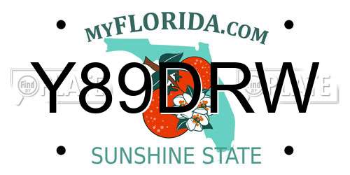 Y89DRW Florida License Plate