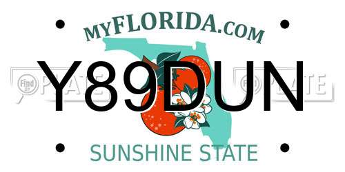 Y89DUN Florida License Plate