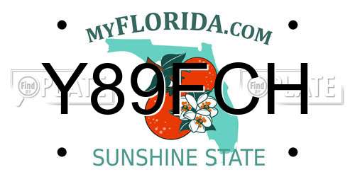 Y89FCH Florida License Plate