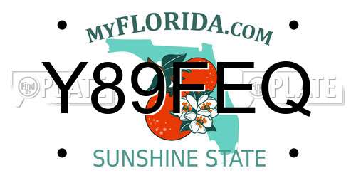 Y89FEQ Florida License Plate