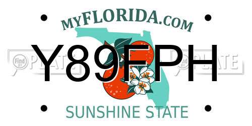 Y89FPH Florida License Plate