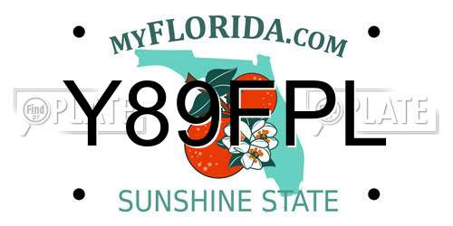 Y89FPL Florida License Plate