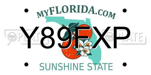 Y89FXP Florida License Plate