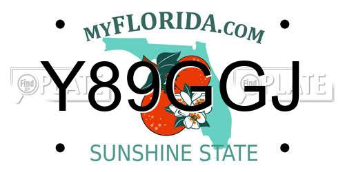 Y89GGJ Florida License Plate
