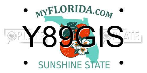 Y89GIS Florida License Plate