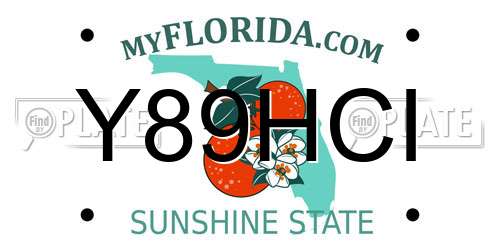 Y89HCI Florida License Plate