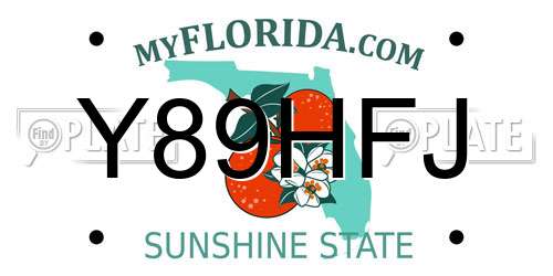 Y89HFJ Florida License Plate