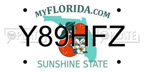 Y89HFZ Florida License Plate