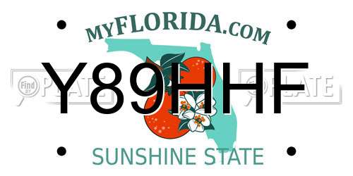 Y89HHF Florida License Plate
