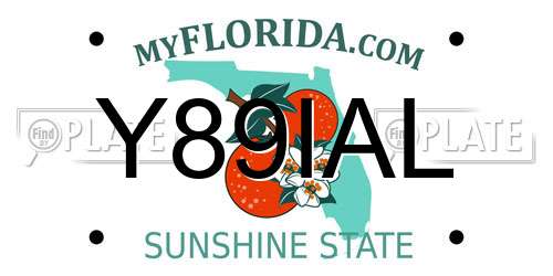 Y89IAL Florida License Plate