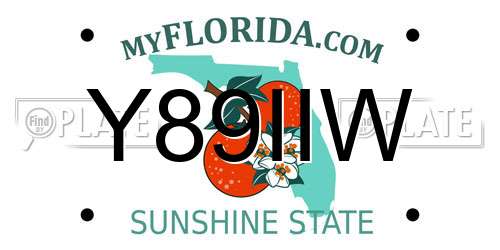 Y89IIW Florida License Plate