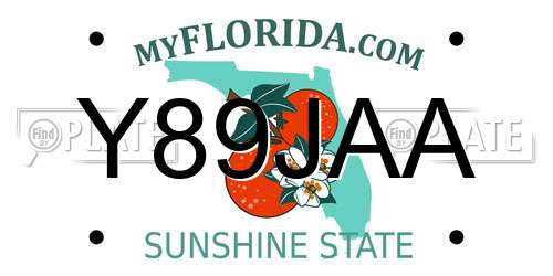 Y89JAA Florida License Plate