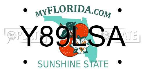 Y89LSA Florida License Plate