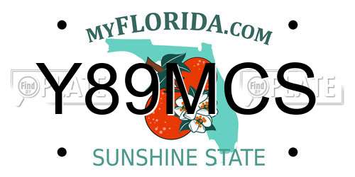 Y89MCS Florida License Plate