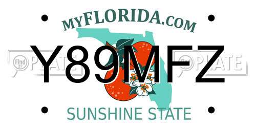Y89MFZ Florida License Plate