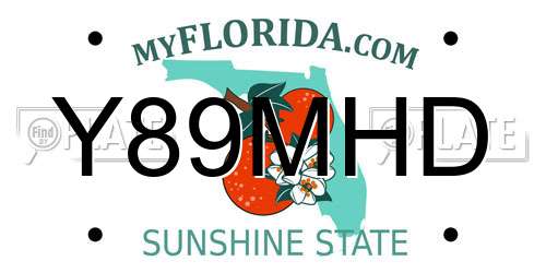 Y89MHD Florida License Plate