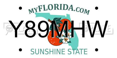 Y89MHW Florida License Plate