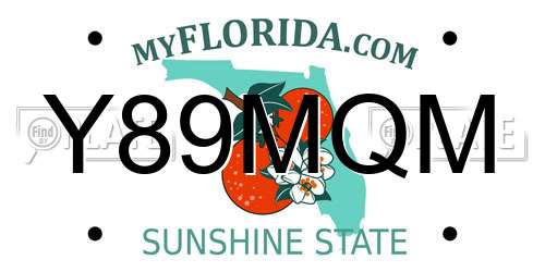 Y89MQM Florida License Plate