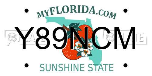 Y89NCM Florida License Plate