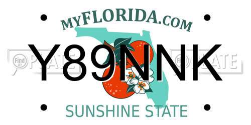 Y89NNK Florida License Plate