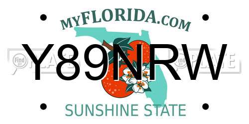 Y89NRW Florida License Plate