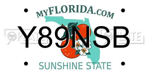 Y89NSB Florida License Plate