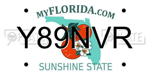 Y89NVR Florida License Plate