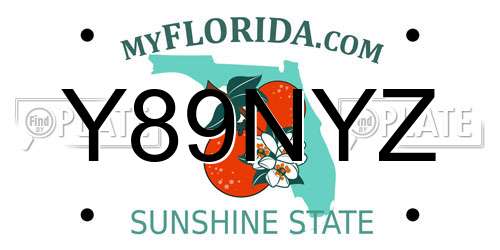 Y89NYZ Florida License Plate