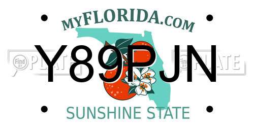 Y89PJN Florida License Plate