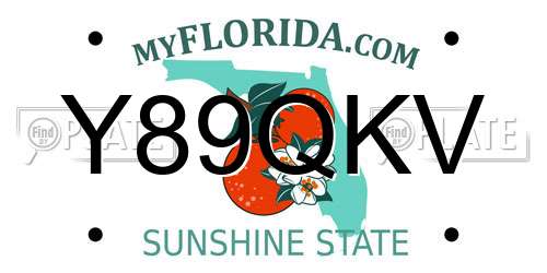 Y89QKV Florida License Plate
