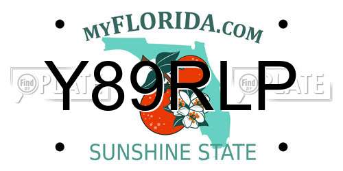 Y89RLP Florida License Plate