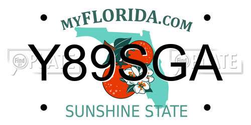 Y89SGA Florida License Plate