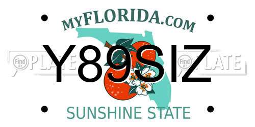 Y89SIZ Florida License Plate