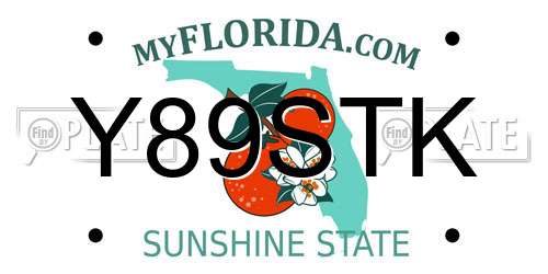 Y89STK Florida License Plate