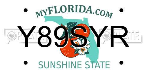 Y89SYR Florida License Plate