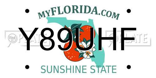 Y89UHF Florida License Plate
