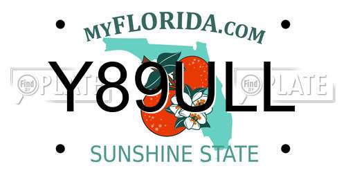 Y89ULL Florida License Plate