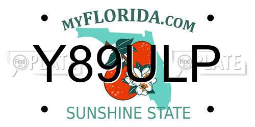 Y89ULP Florida License Plate