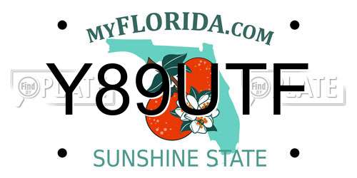 Y89UTF Florida License Plate