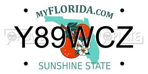 Y89WCZ Florida License Plate