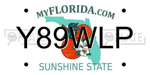 Y89WLP Florida License Plate