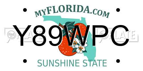 Y89WPC Florida License Plate