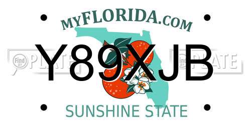 Y89XJB Florida License Plate