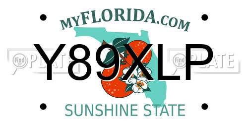 Y89XLP Florida License Plate