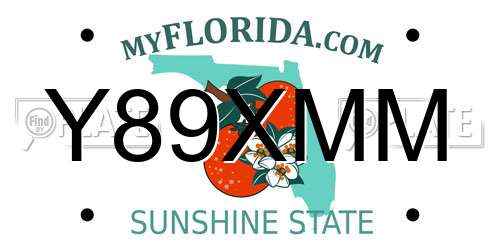 Y89XMM Florida License Plate