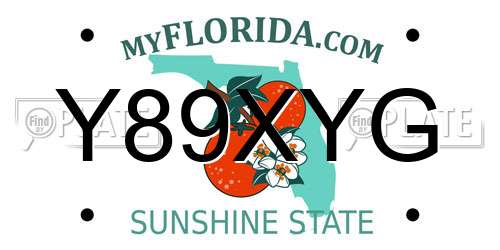 Y89XYG Florida License Plate